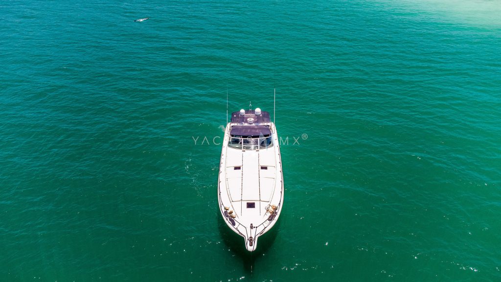 SeaRay 60 yacht charter Cabo San Lucas - exterior and cruising photo 01