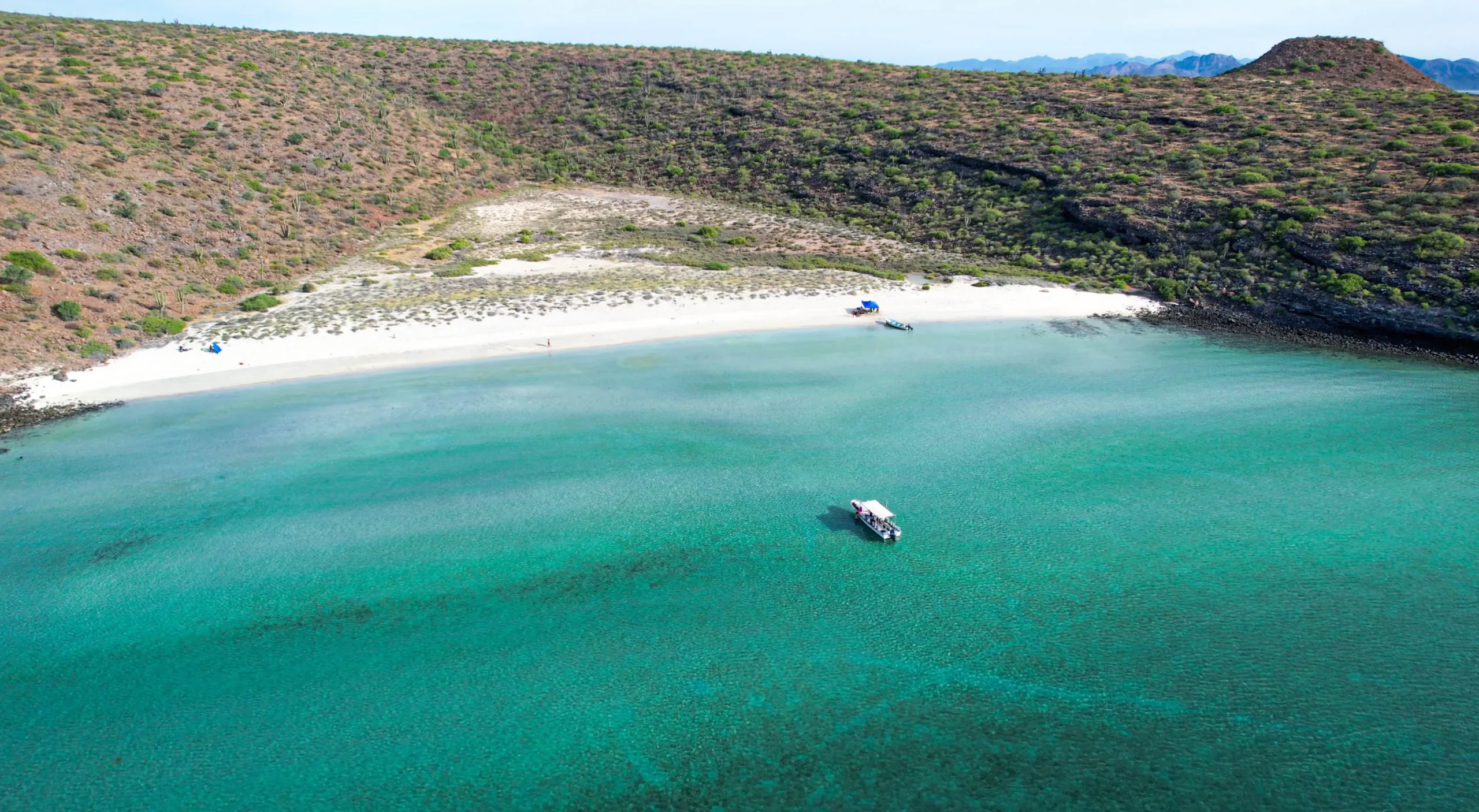 Best of Baja yacht charters Cabo La Paz