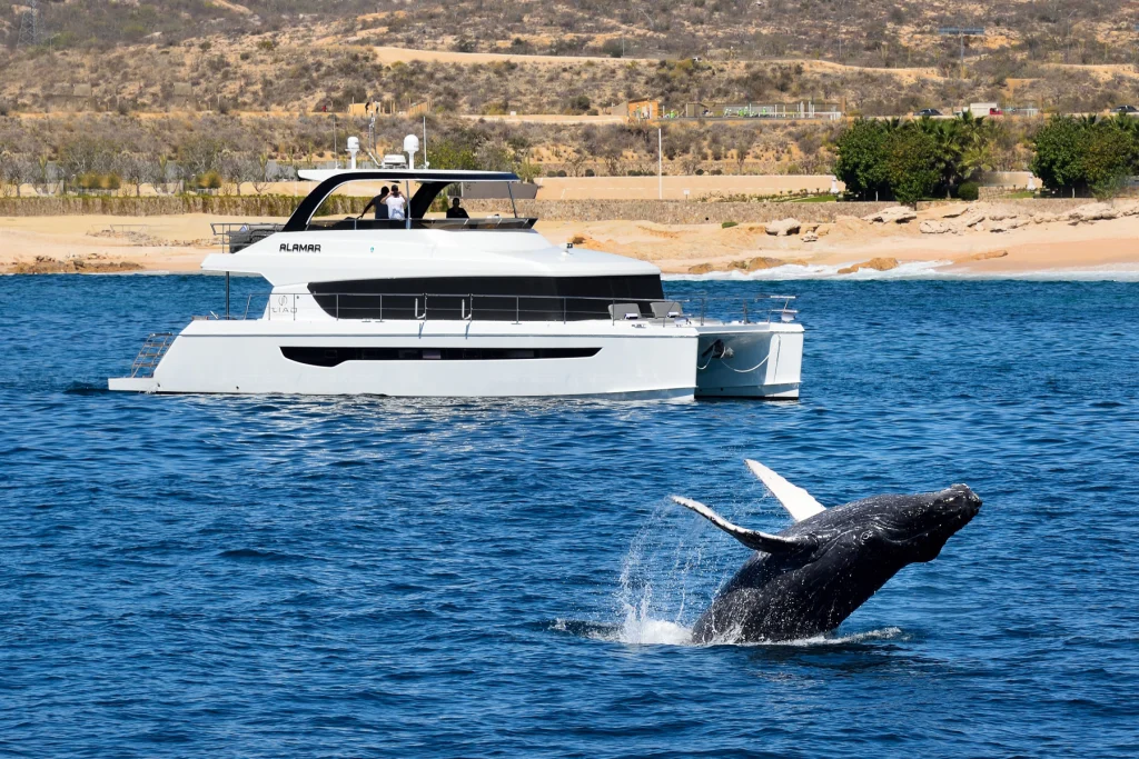 Iliad 60 yacht charter Cabo San Lucas - exterior and cruising photo 01