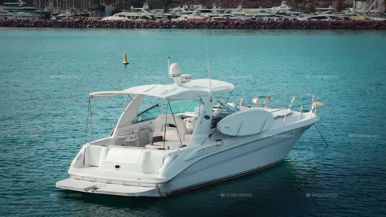Sea Ray 45'